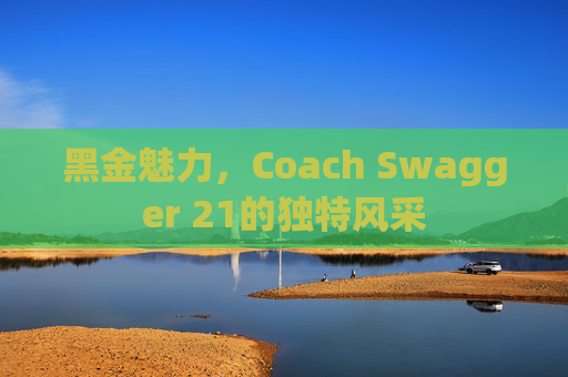 黑金魅力，Coach Swagger 21的独特风采